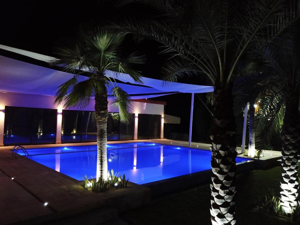 una piscina por la noche con dos palmeras en The Hide en Ras al-Khaimah