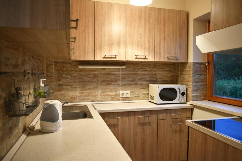Kuchyňa alebo kuchynka v ubytovaní Lagom Apartman