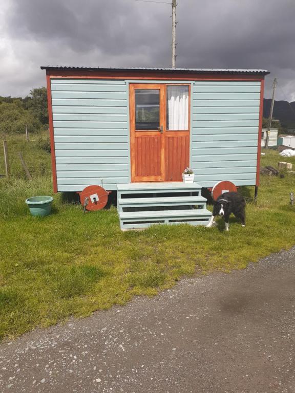 a dog standing in front of a small house at Croft of Clune Shepherds Hut in Newtonmore