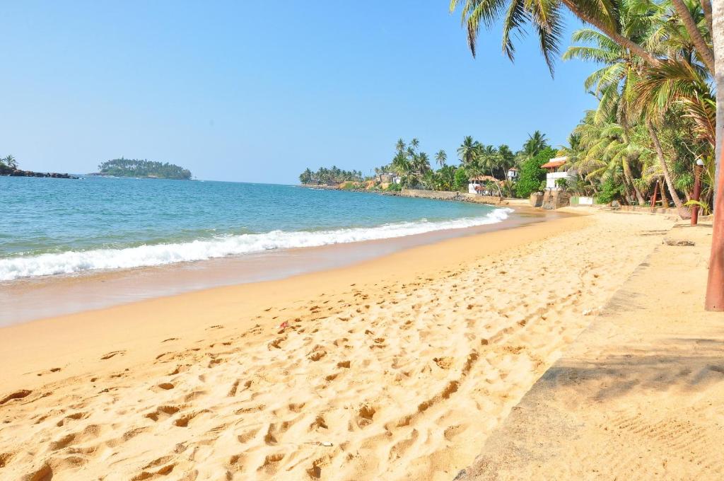 uma praia com palmeiras e o oceano em Ypsylon Tourist Resort em Beruwala