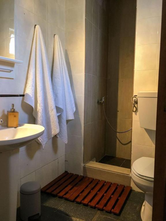 a bathroom with a shower with a toilet and a sink at Carrapateira Lodge in Carrapateira