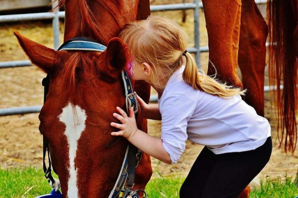 Altri animali domestici presso l'hotel o nei dintorni