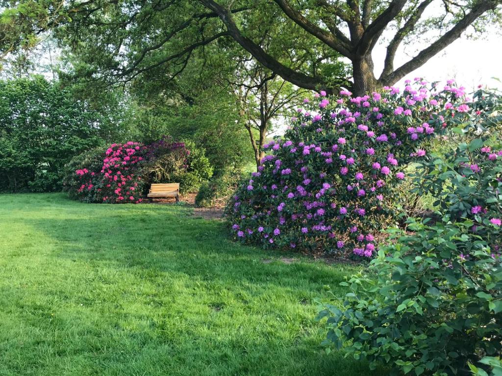 a park with pink flowers and a bench in the grass at Fehnland in Großefehn 