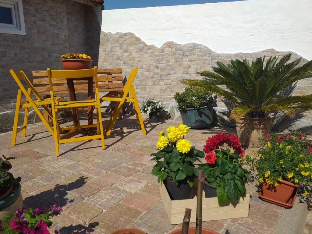 Zahrada ubytování I Due Ciuchini Sardinia