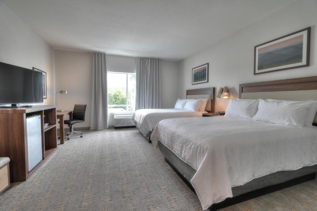 Holiday Inn & Suites Pigeon Forge Convention Center, an IHG Hotel - Chambre Standard Avec Deux Lits Queen