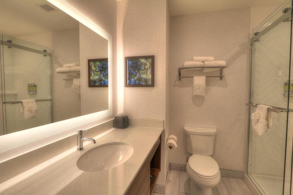 Holiday Inn & Suites Pigeon Forge Convention Center, an IHG Hotel - Suite - Mobilité Accès Roll Dans La Douche/Non-Fumeurs