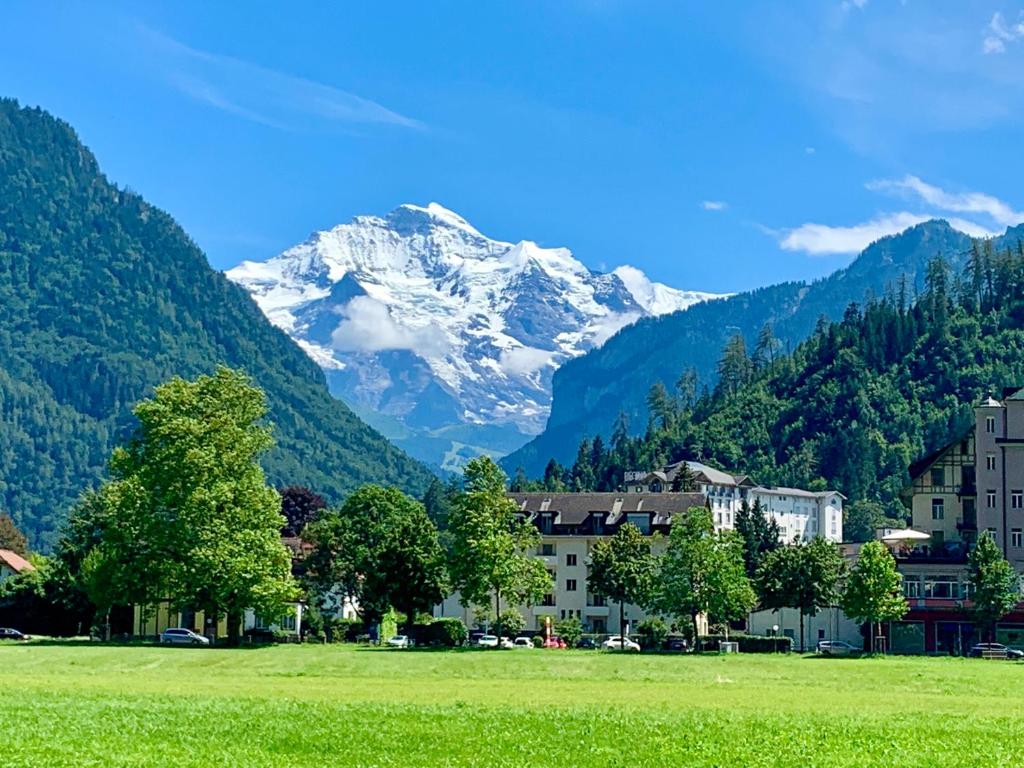 Eiger, Jungfrau, luxury garden apartment - Hizvo