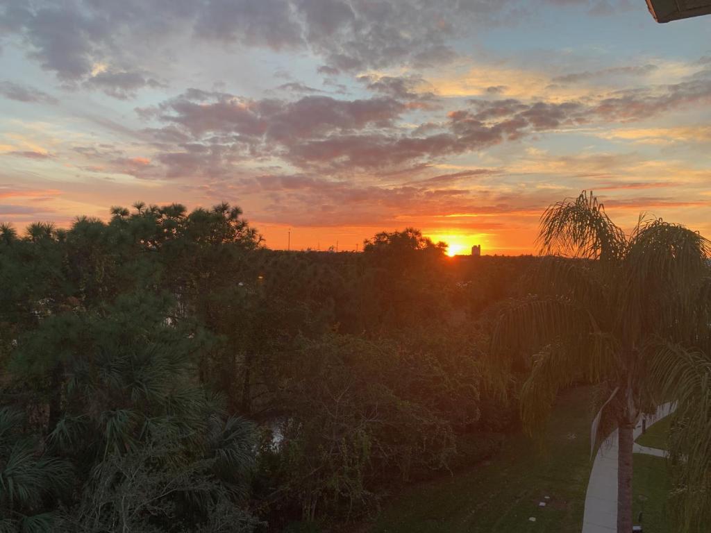 a sunset over a field with trees and a road at 403 Top Lake View-Disney, Universal/Convention Center in Orlando