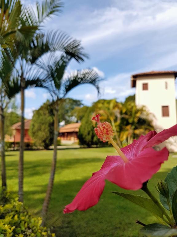  Pousada Vila Minas