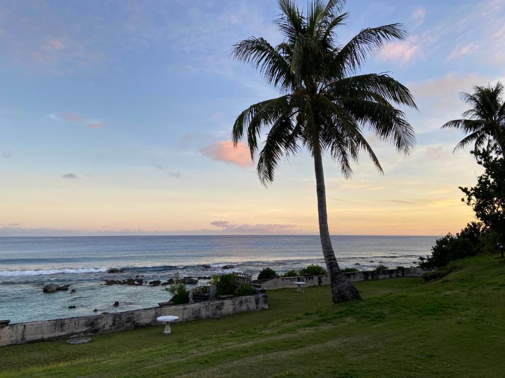 uma palmeira numa praia com o oceano em Coral Garden Hotel em Rota