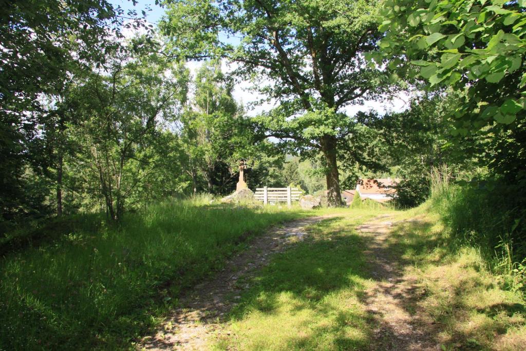 Ban-sur-Meurthe-ClefcyにあるLa Saucéeの塀と木の畑の未舗装道路