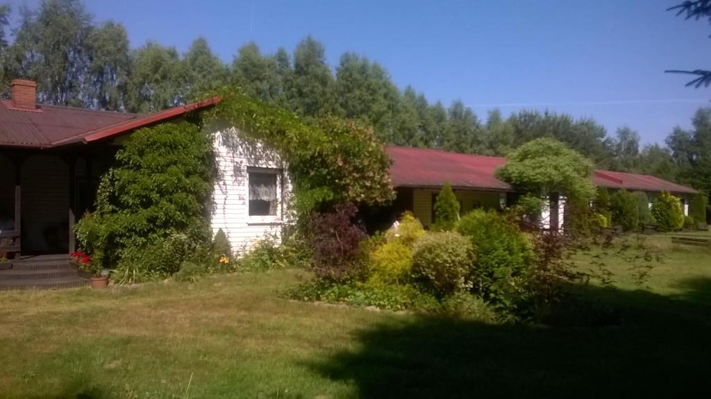 a house with ivy growing on the side of it at Agroturystyka GAGA in Ustka