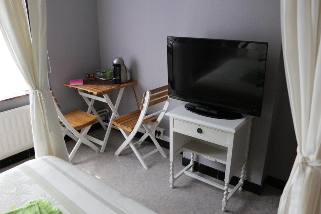 TV a/nebo společenská místnost v ubytování B&B Den Boskant