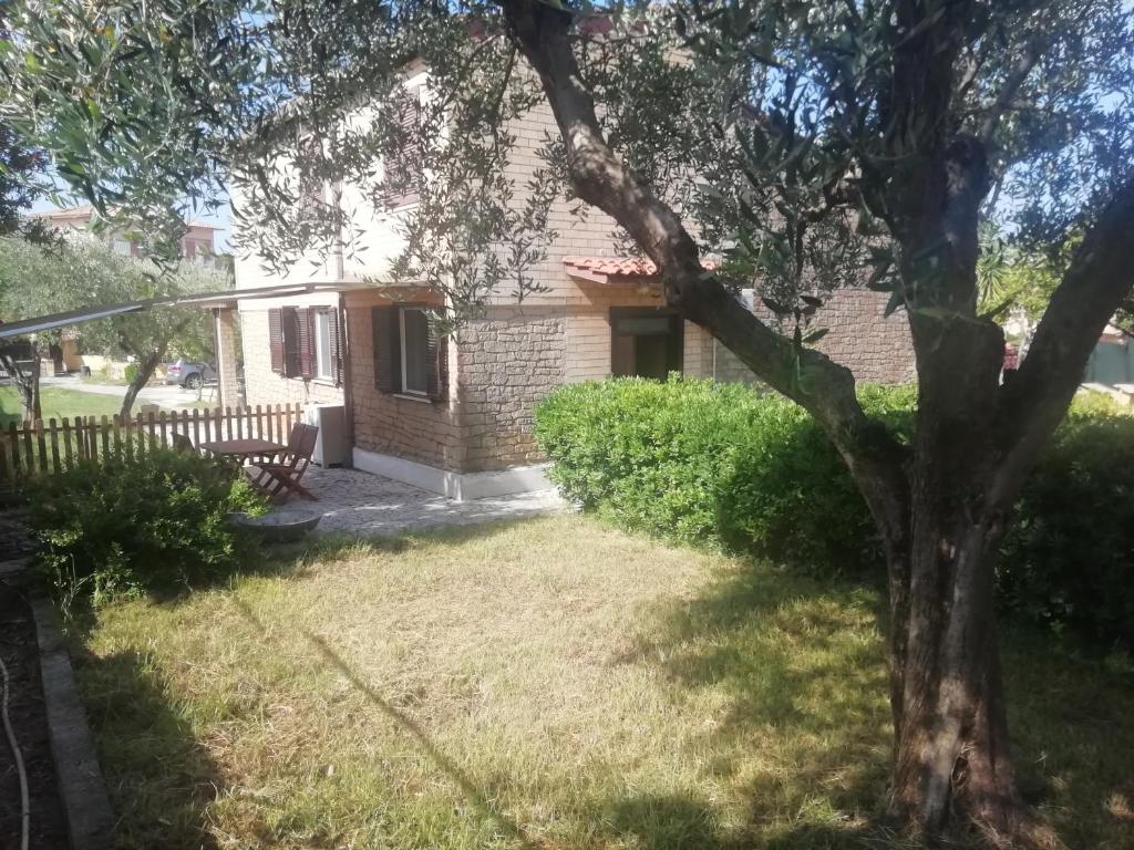 A garden outside VILLA GIULIANA stanze con bagno interno in Villa a 350 mt spiaggia libera Lido delle Sirene