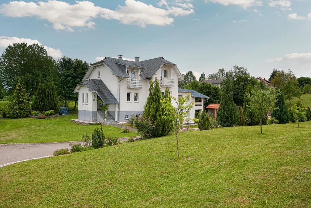 a large white house on a grassy hill at Studio apartments Kaya in Čatrnja