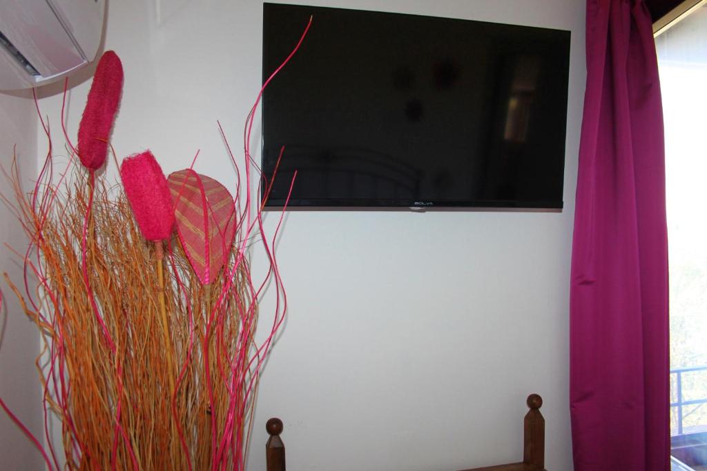 TV a/nebo společenská místnost v ubytování A Casa di Amici