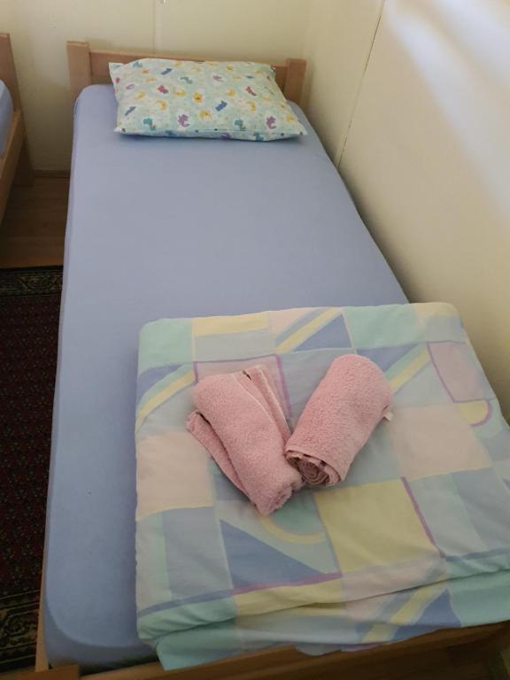 新瓦羅許的住宿－Apartman Petra，一张带两个枕头的床和两条毛巾