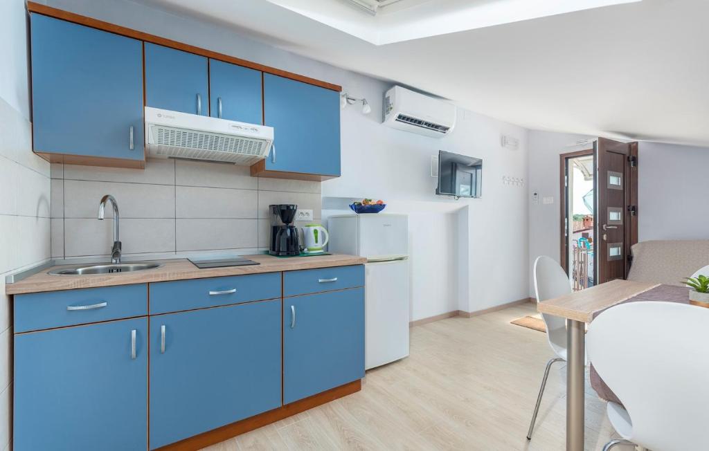 Kuchyň nebo kuchyňský kout v ubytování Apartment Vilma Funtana
