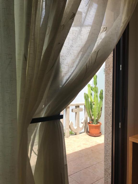 una ventana con una cortina en una habitación con un cactus en Ave del Mar, en Camariñas