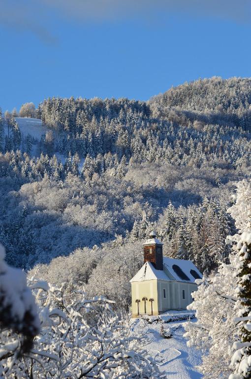 Hotel-Gasthof-Fleischerei - Zur alten Post v zimě