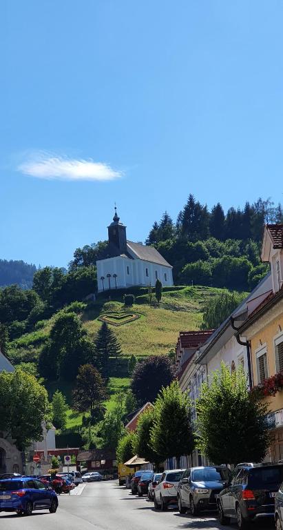 Příroda nedaleko hotelu