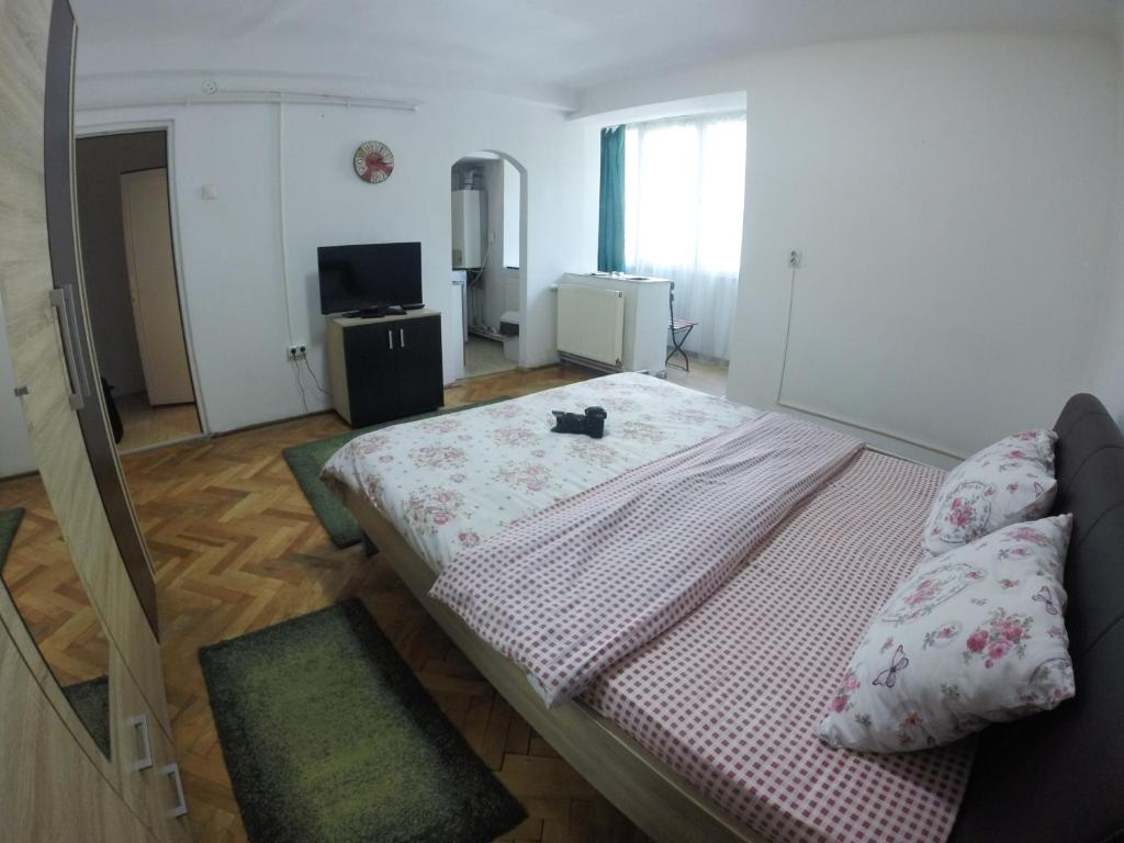 Feel like home in Sibiu - King & Queen Apt