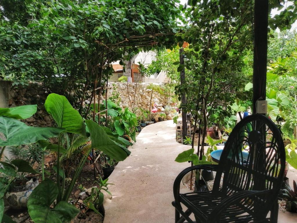 Zahrada ubytování Casa Daniels Guesthouse