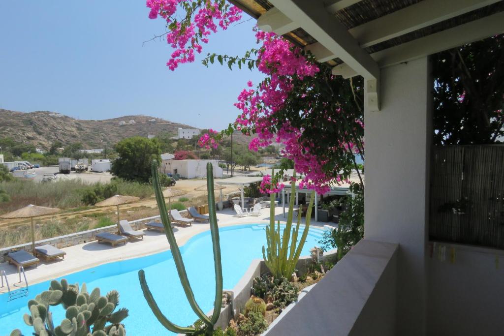 La alberca dentro o cerca de Corali Beach Hotel