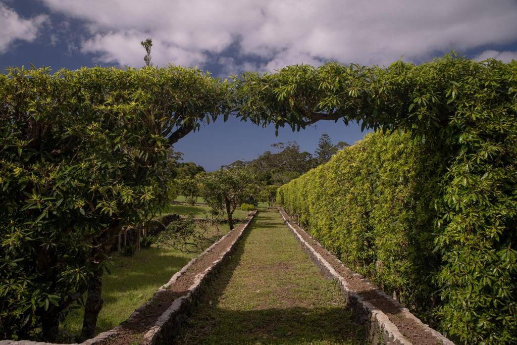 a hedge archway in the middle of a garden at Quinta dos 10 in Ponta Delgada