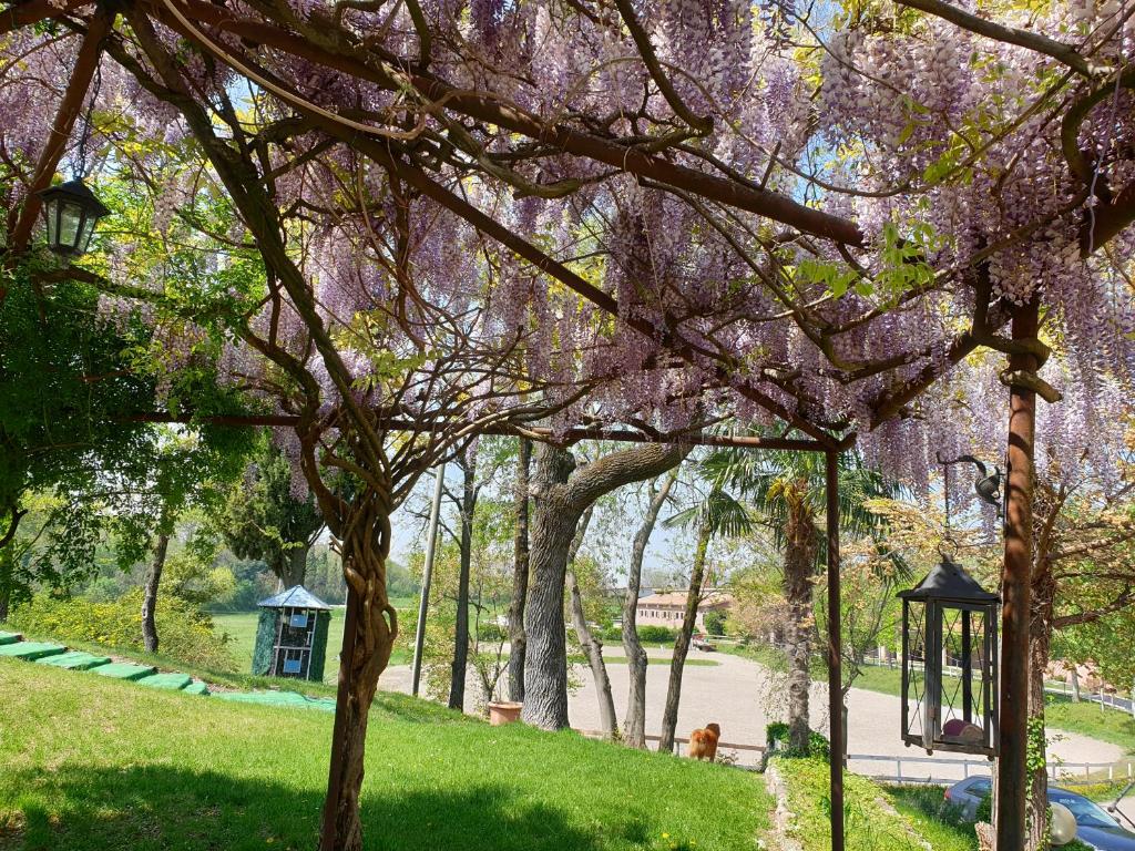 Zahrada ubytování Agriturismo Cascina Le Volpi