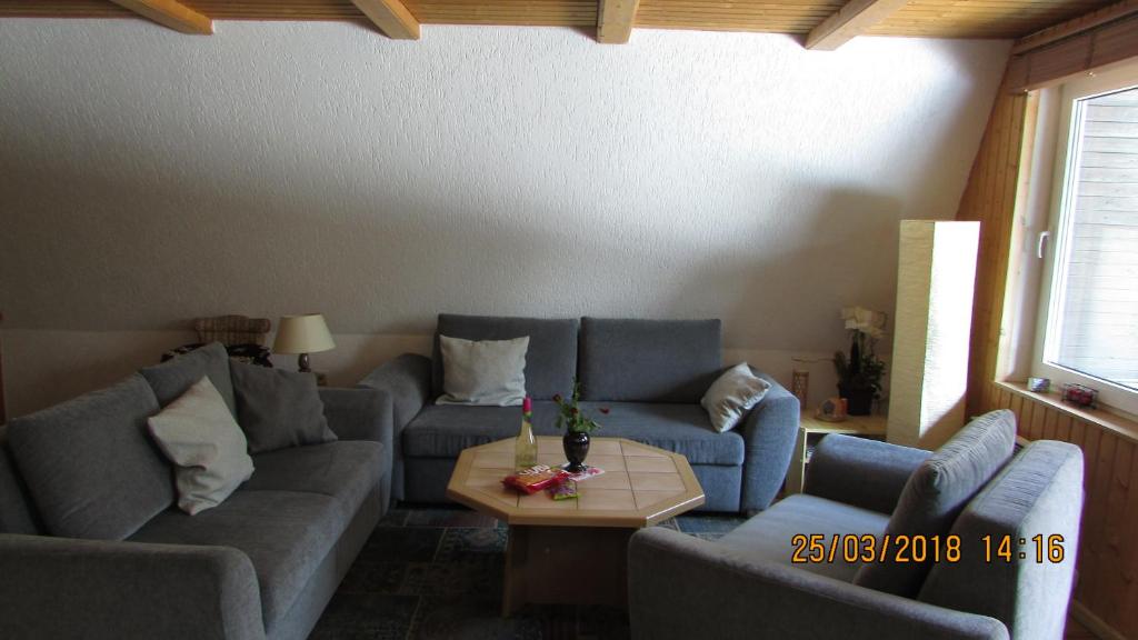Posezení v ubytování Finnhaus Neubauer