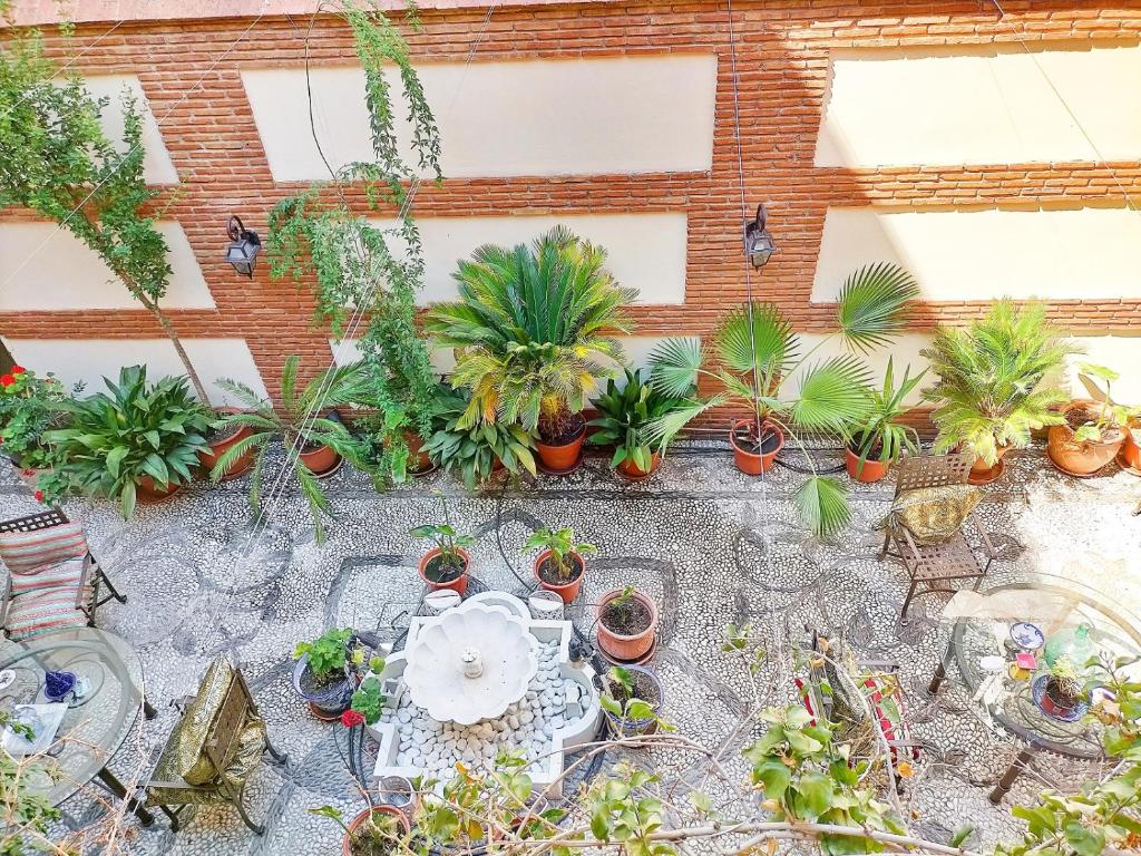 Jardín al aire libre en Abadía Hotel