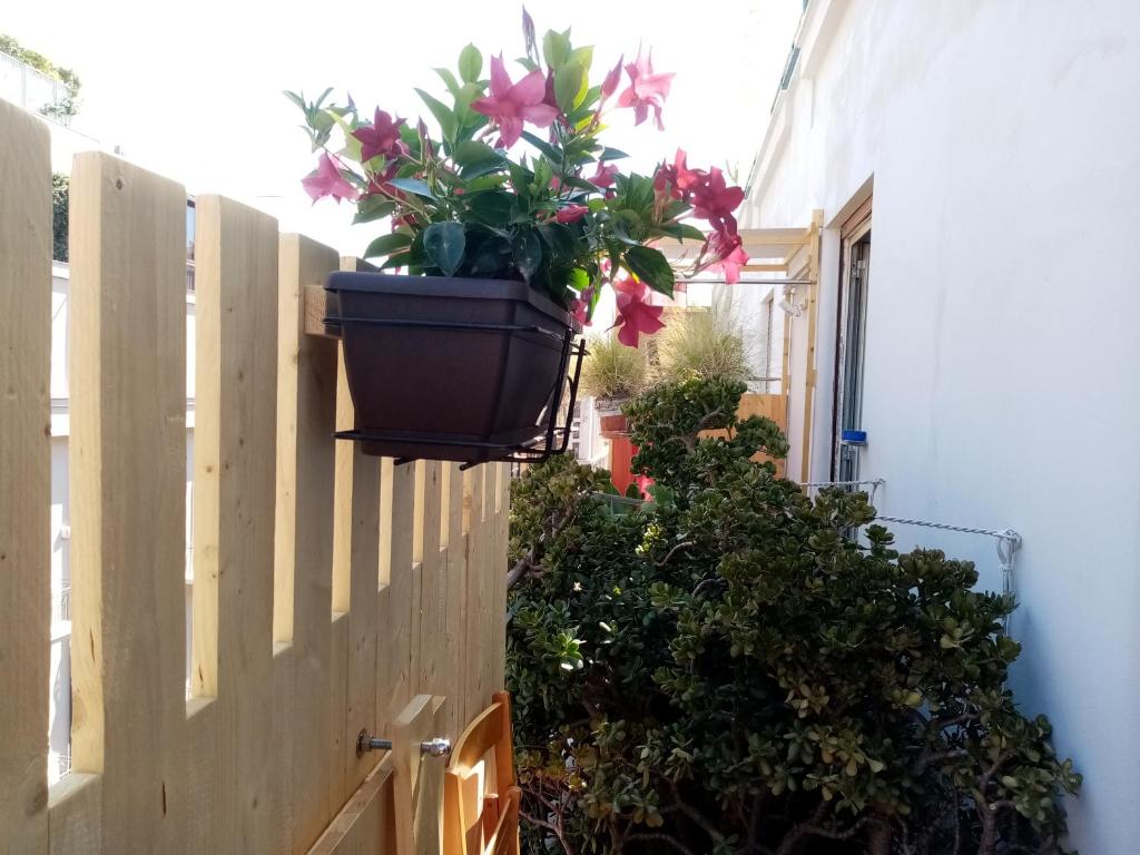 Ariston Petit Hotel - Resim 9