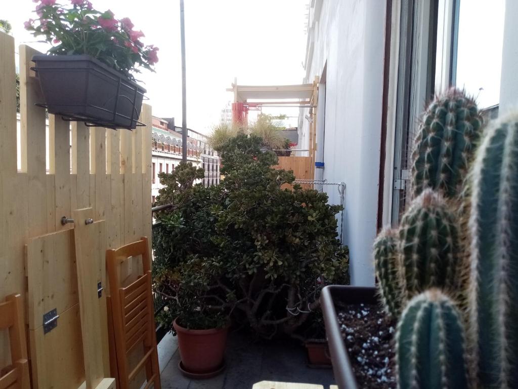Fotografie z fotogalerie ubytování Ariston Petit Hotel v destinaci Palermo
