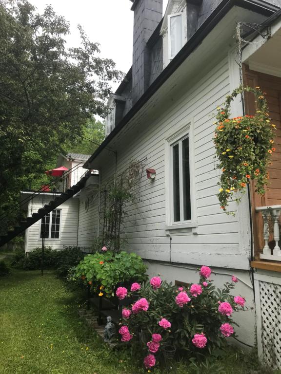 Zahrada ubytování Auberge du Sault-à-la-Puce
