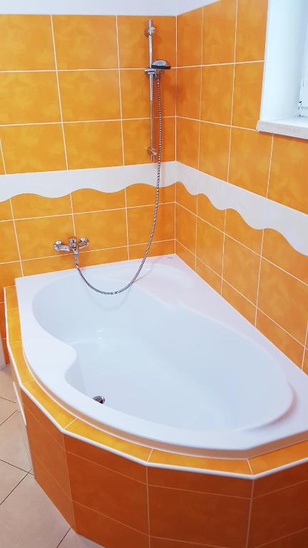 APARTMÁNY POD ČERCHOVEM - One-Bedroom Apartment