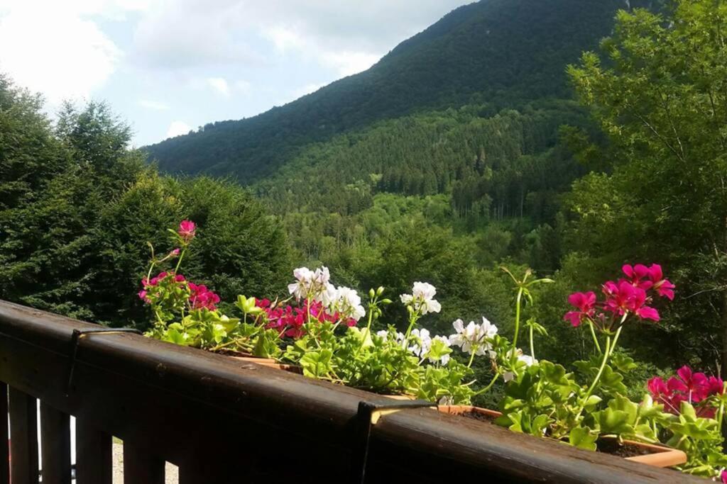 a balcony with flowers on top of a mountain at Rustic Cabin in Pozzis