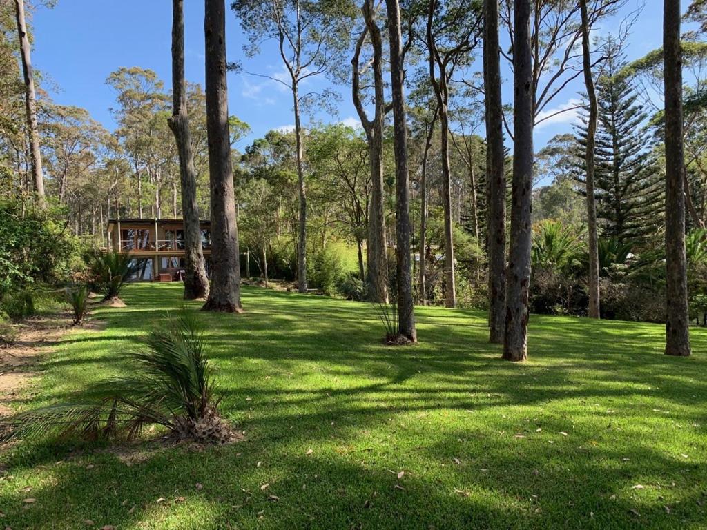 a lawn with trees and a house in the background at Beachgum in Sunshine Bay