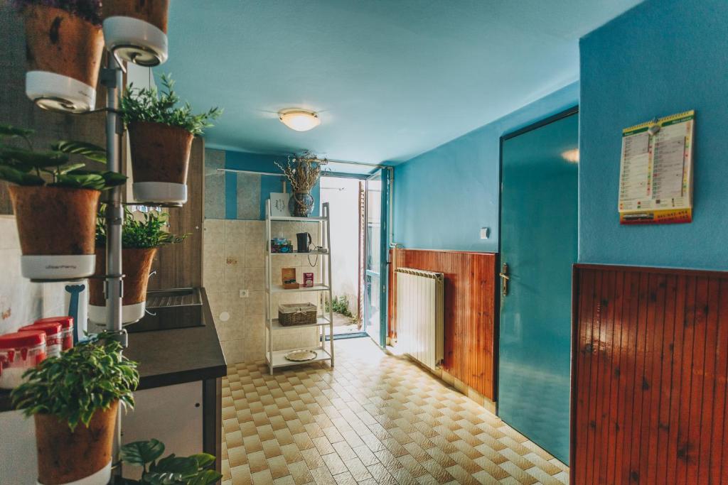 a kitchen with blue walls and potted plants at House365 in Koper