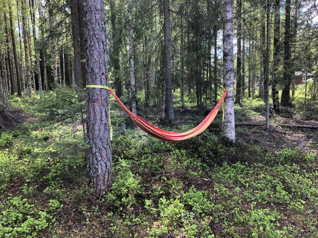 Zahrada ubytování IGMA Lodge