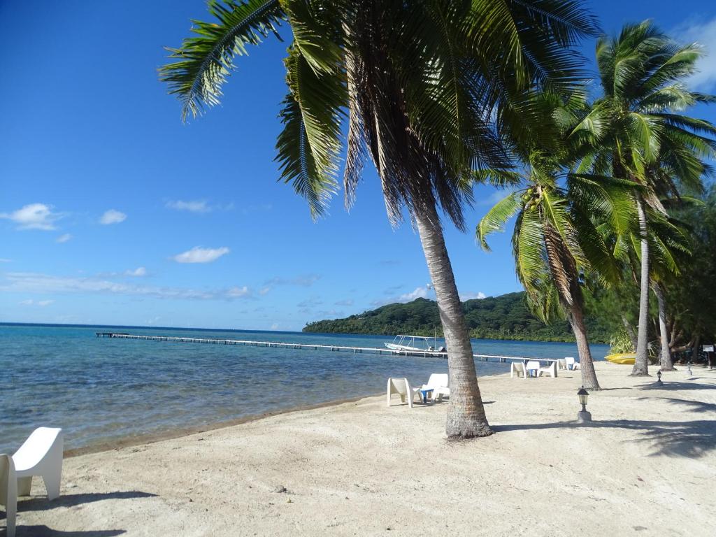 a beach with chairs and palm trees and the ocean at Hôtel Atiapiti in Opoa