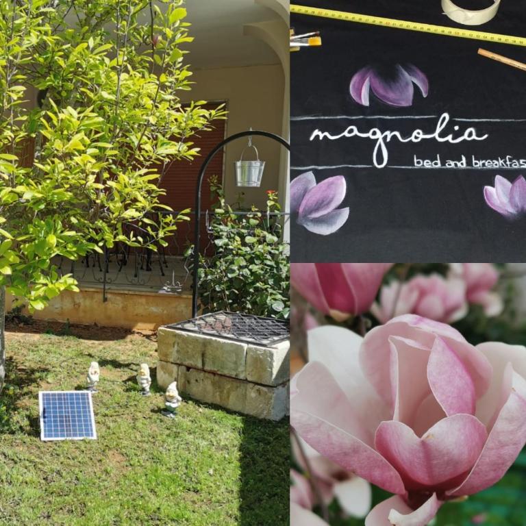 Zahrada ubytování Magnolia