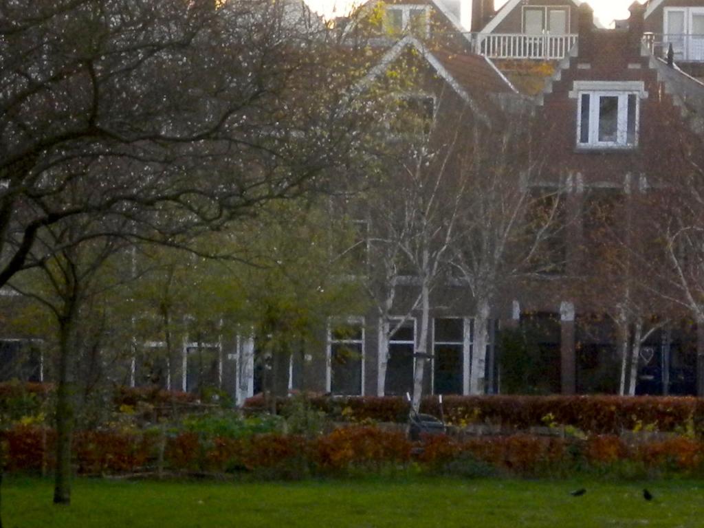 a large house with trees in front of it at Bed & Breakfast Maria in Rotterdam