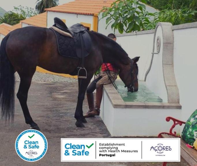 Ein Mann steht neben einem Pferd und trinkt Wasser. in der Unterkunft Quinta do Malhinha- Turismo in Angra do Heroísmo