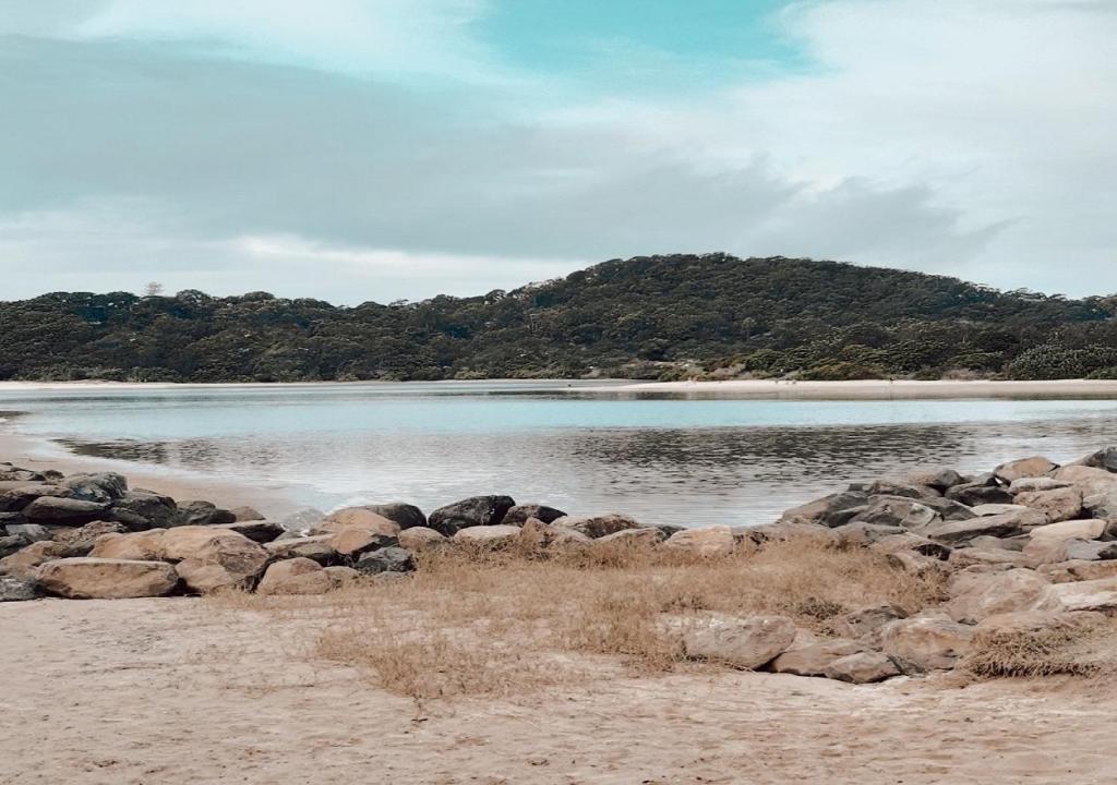 Red Star Palm Beach - Resim 15