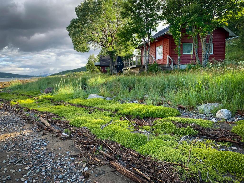 una casa en una colina al lado de un campo de hierba en The Red Fjordhouse, en Målsnes