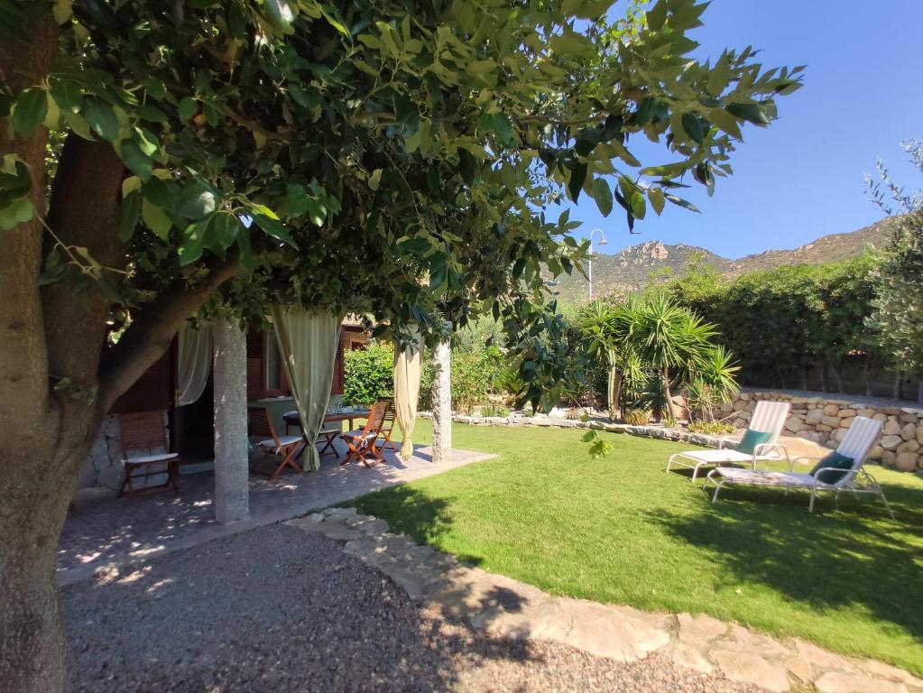 a yard with two chairs and a tree at Villa Cruccuris in Villasimius
