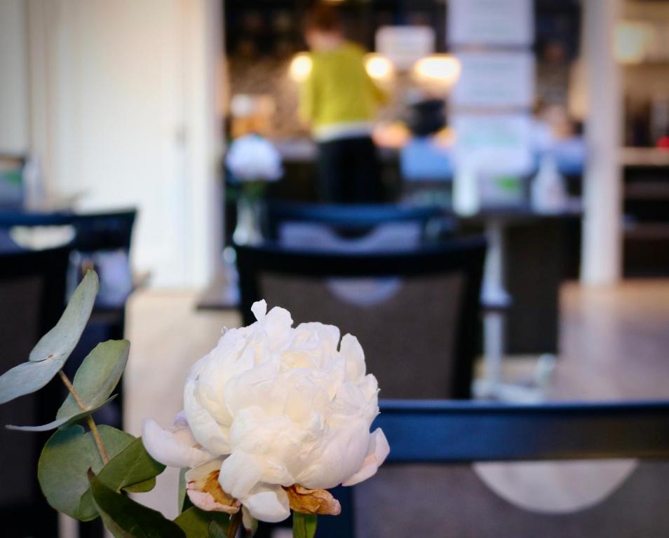 Fotografie z fotogalerie ubytování Taastrup Park Hotel v destinaci Tåstrup