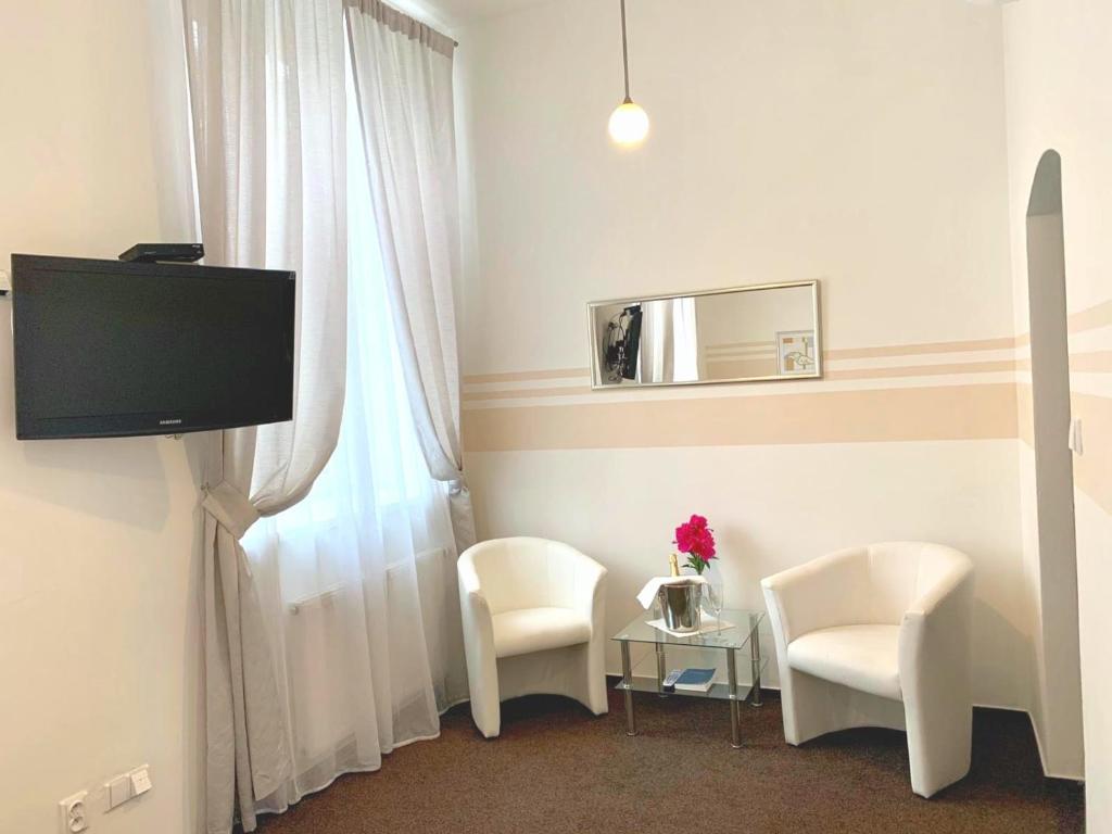 TV a/nebo společenská místnost v ubytování Hotel RICHTR