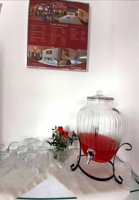 Fotografie z fotogalerie ubytování Hotel RICHTR v Frýdku Místku